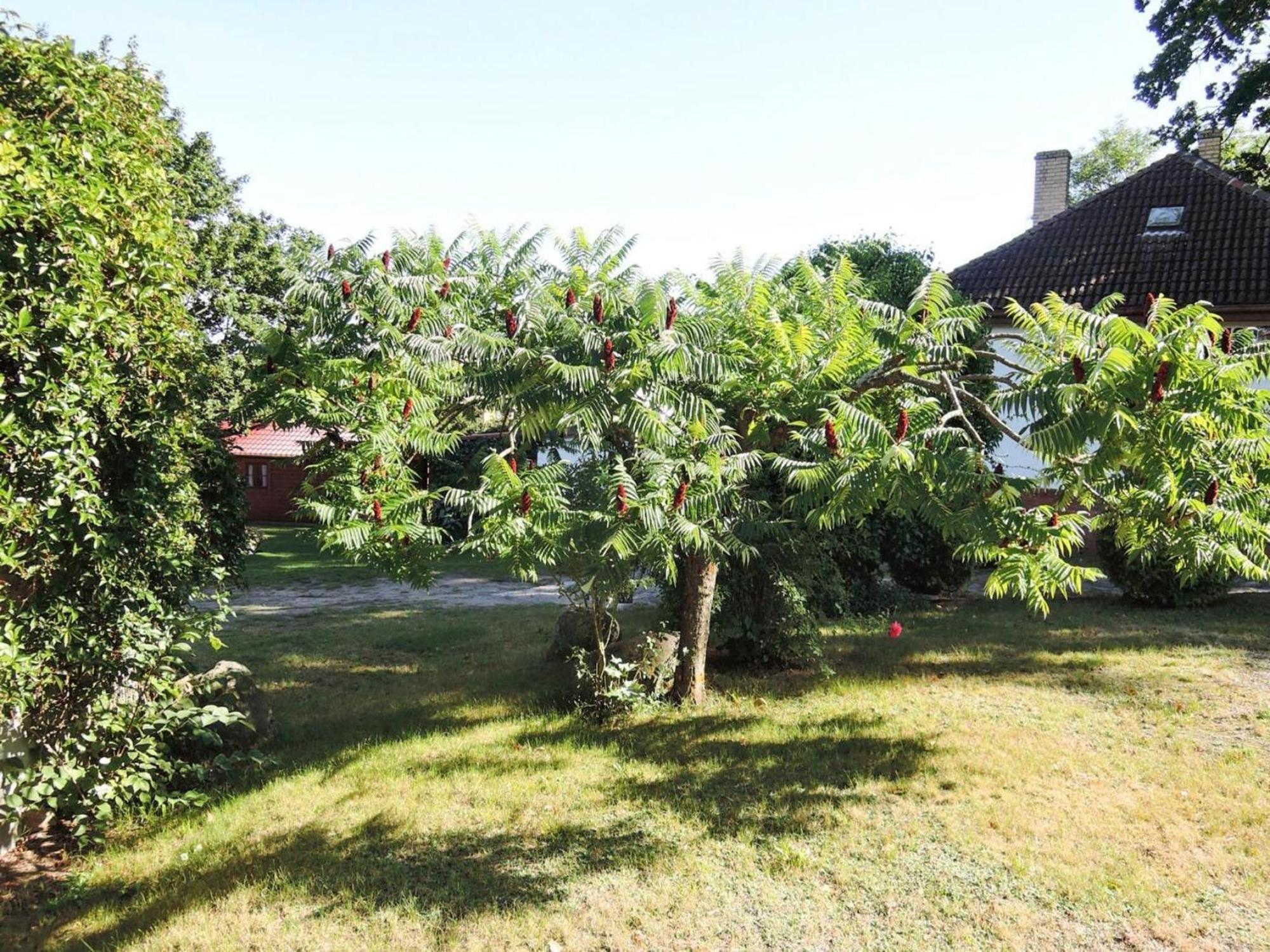 Bungalow In Lubin At 300 M From The Lake Lubin (West Pomeranian) Exterior foto
