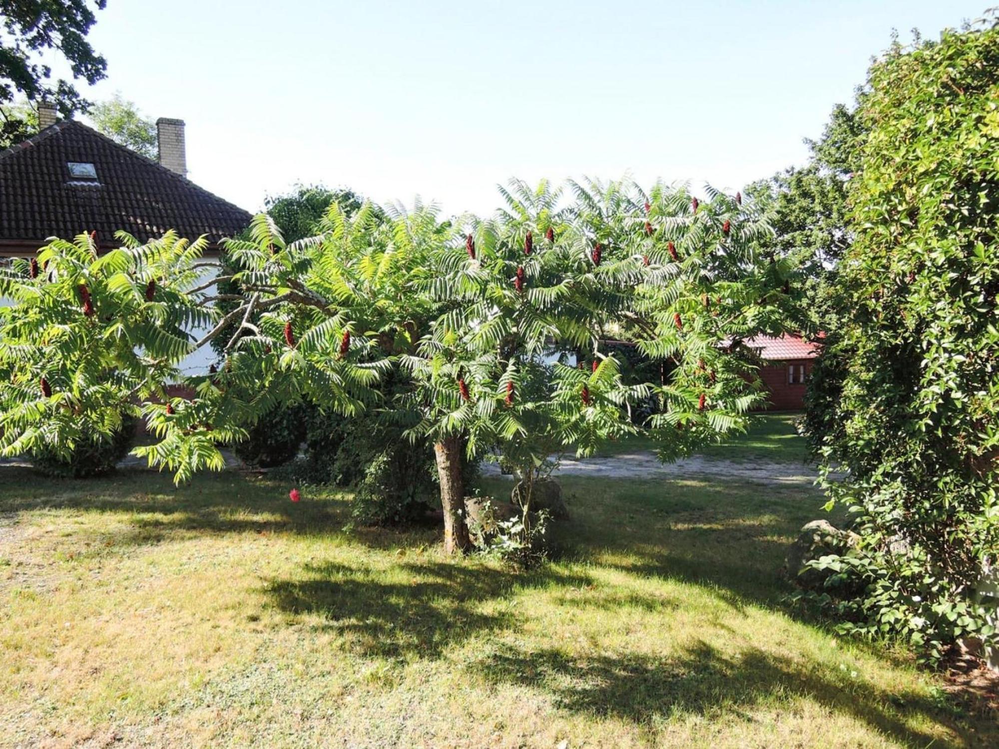 Bungalow In Lubin At 300 M From The Lake Lubin (West Pomeranian) Exterior foto